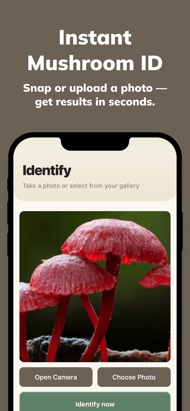 Mushy App Screenshot 2
