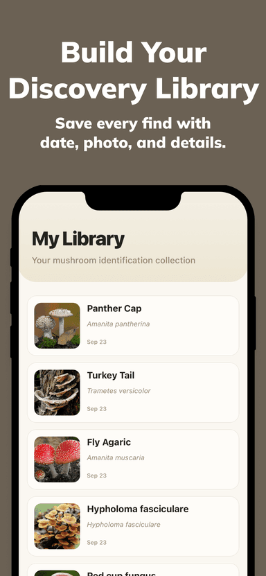 Mushy App Screenshot 4