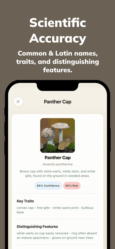 Mushy App Screenshot 5